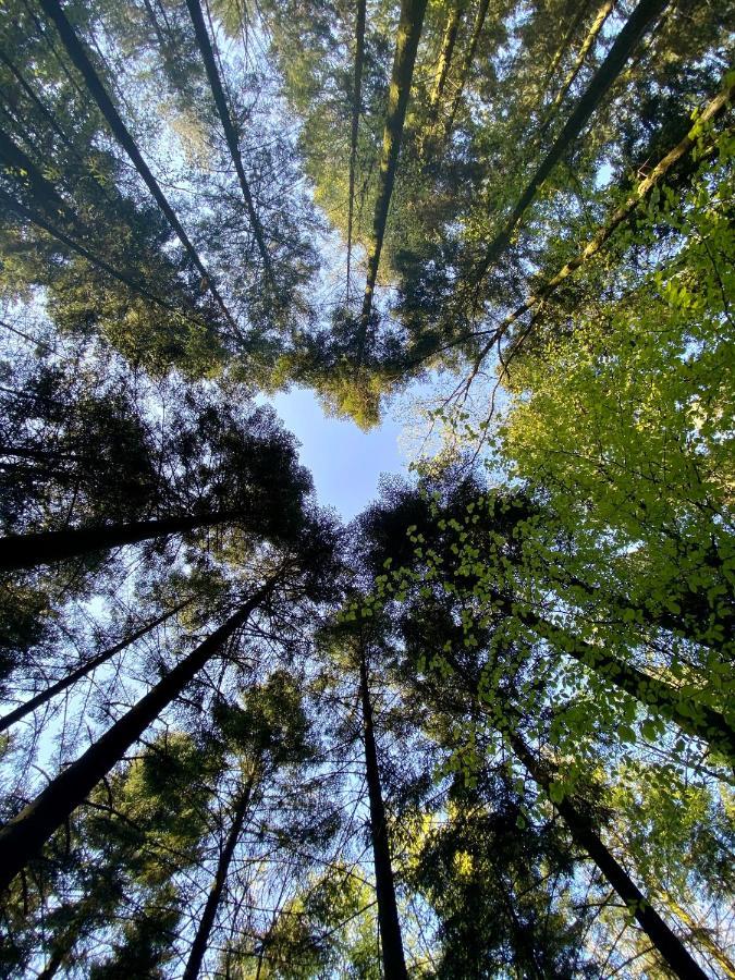 Camping De La Foret Seasonova Sille-le-Guillaume Экстерьер фото